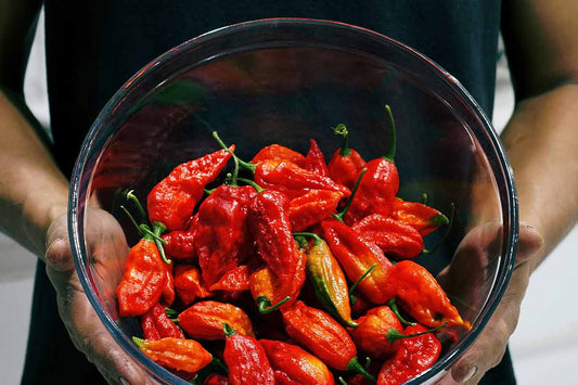Bhut Jolokia The Ghost Chili Health Benefits