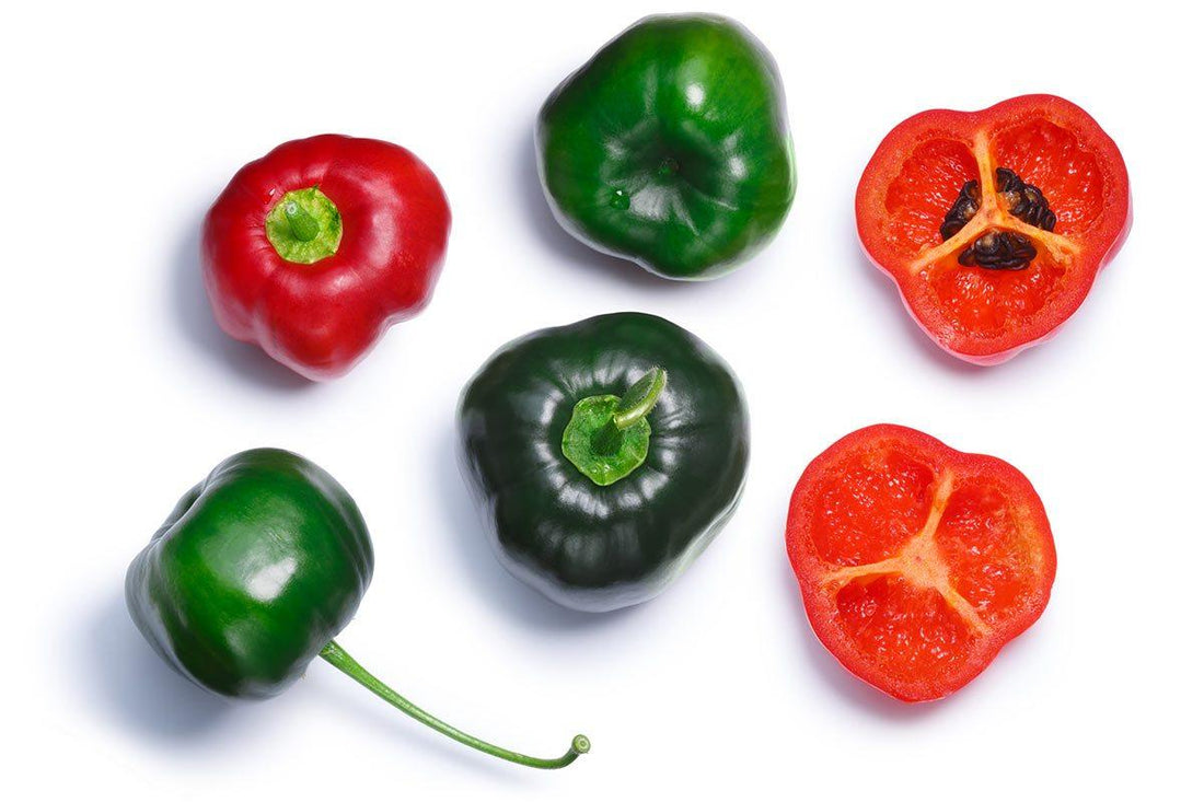 Cuckoo for Rocoto Peppers: A Flavor Profile of a Unique Pepper