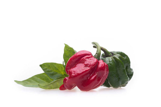 Game of Peppers: How the Reaper Took Over the Scorpion’s Throne