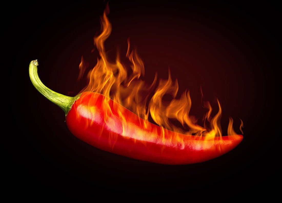 Hot Peppers Really Do Bring The Heat