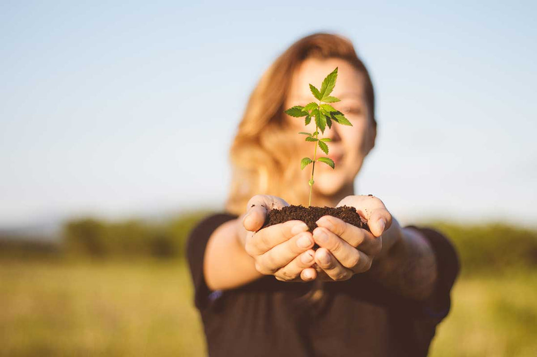 It’s the Legal Way to Get High