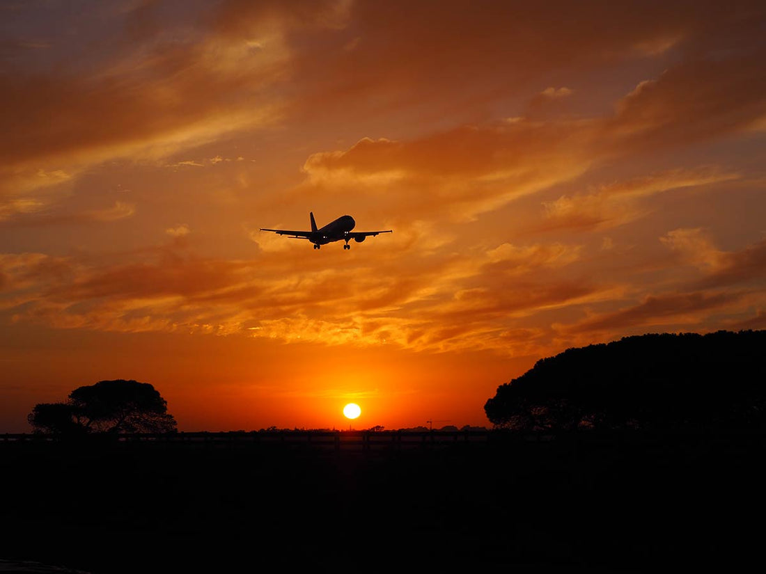 Mile-Hot Club: Spicy Meals at 30,000 Feet