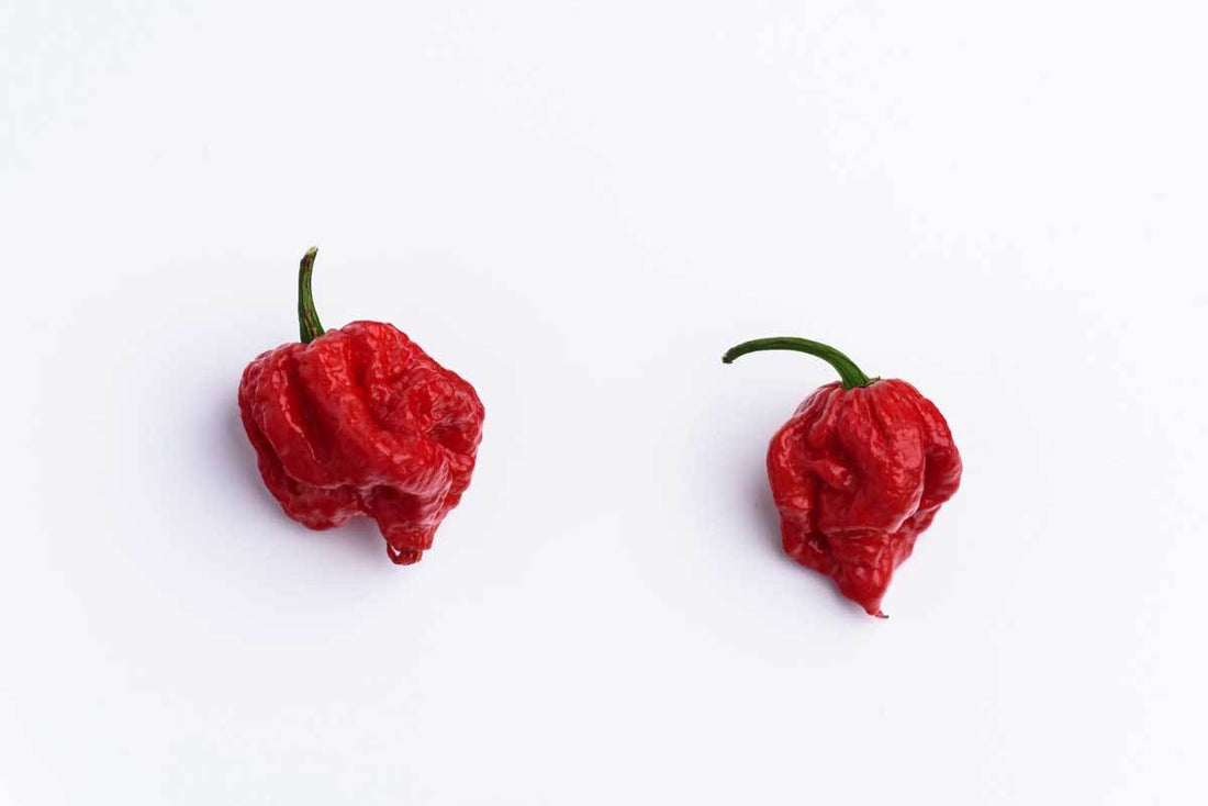 Pepper Profile: The Carolina Reaper