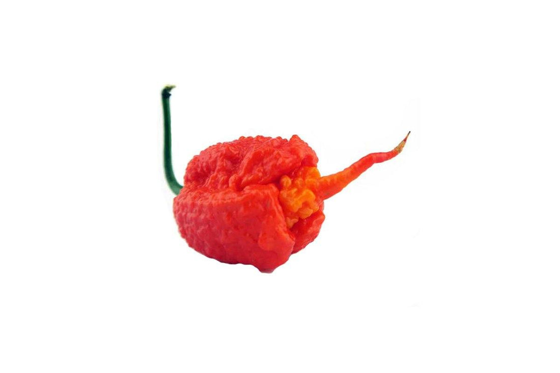 Reapers Are Too Hot for You to Handle