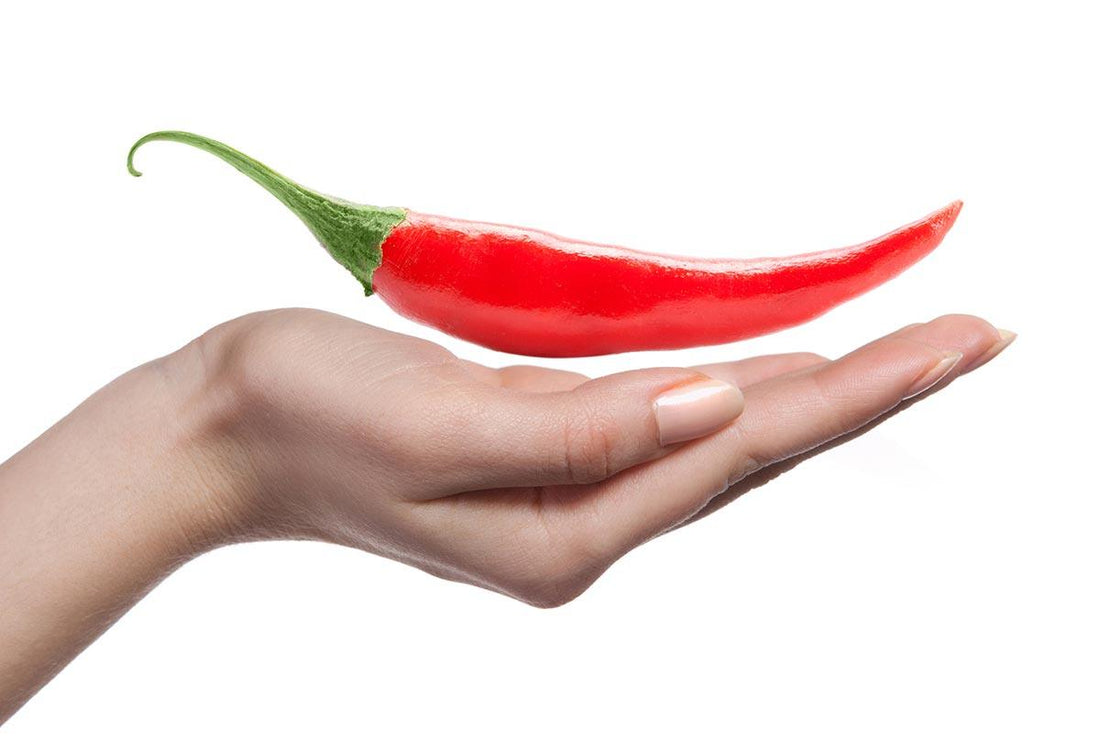 Sensing heat: How chili peppers are being used to understand touch