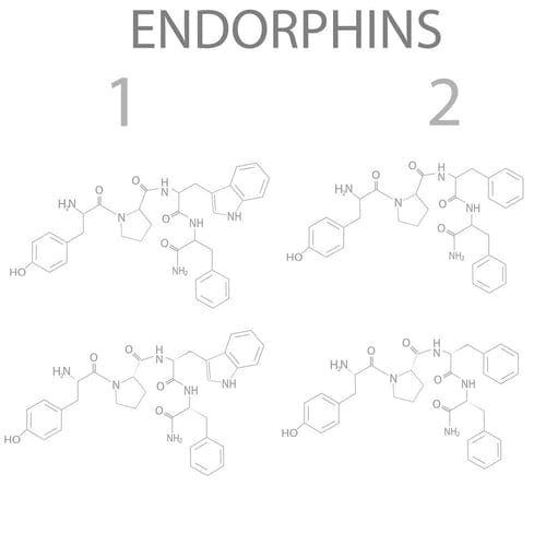 The Endorphin Rush That Feels Like a Runner’s High