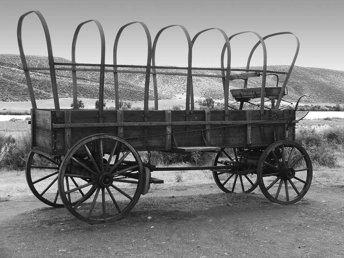 The Oregon Trail: No One Would Die of Dysentery If They Ate Chili Peppers
