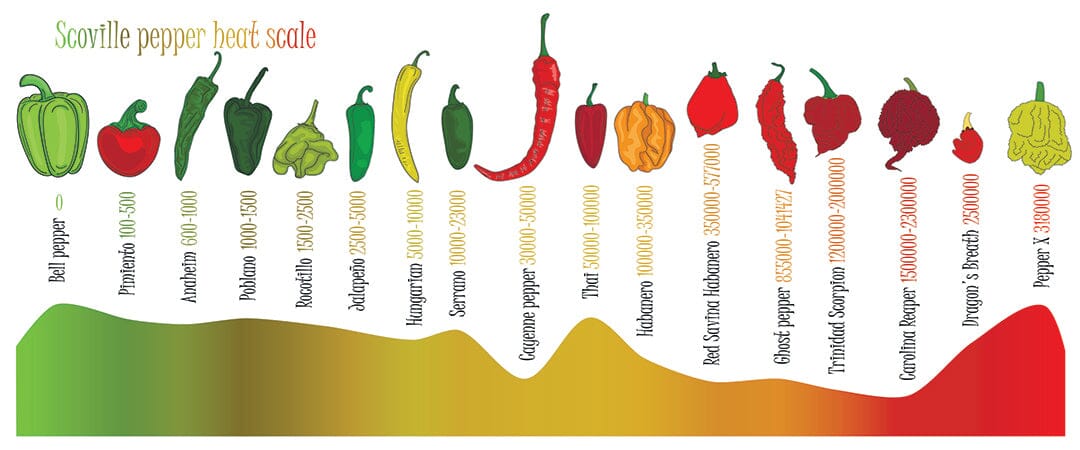 Understanding the Scoville Scale: A Guide to Measuring Heat in Peppers