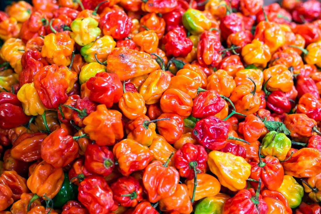 What geography has to do with spicy food preferences