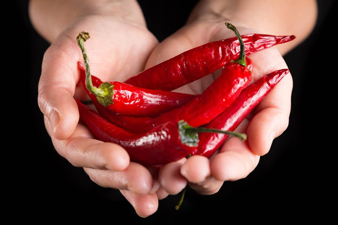 Why Do Chilies Burn